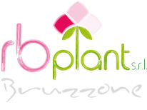 RbPlant