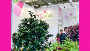 IMMAGINE Stand di RB Plant Albenga a IPM Essen 2019