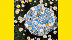 Immagine RB Plant Beejou Daisy