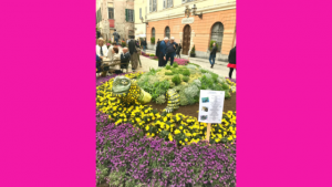 immagine aiuola dedicata alla tartaruga Emys a Fior d'Albenga 2019