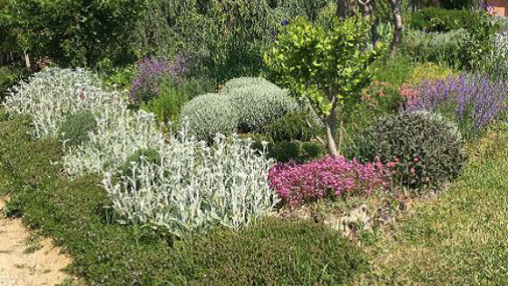 Immagine Nona edizione Summer School of Floriculture