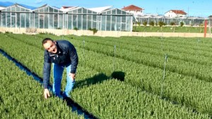 Eccezionale produzione di fiori e piante 2020 per RB Plant
