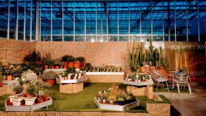 Stand virtuale di RB Plant per mostra piante fiori ed erbe aromatiche di Albenga