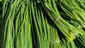 Erba cipollina RB Plant Albenga