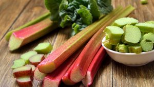 Rabarbaro Sunny heRBs di produzione RB Plant Albenga, coltivazione e uso in cucina