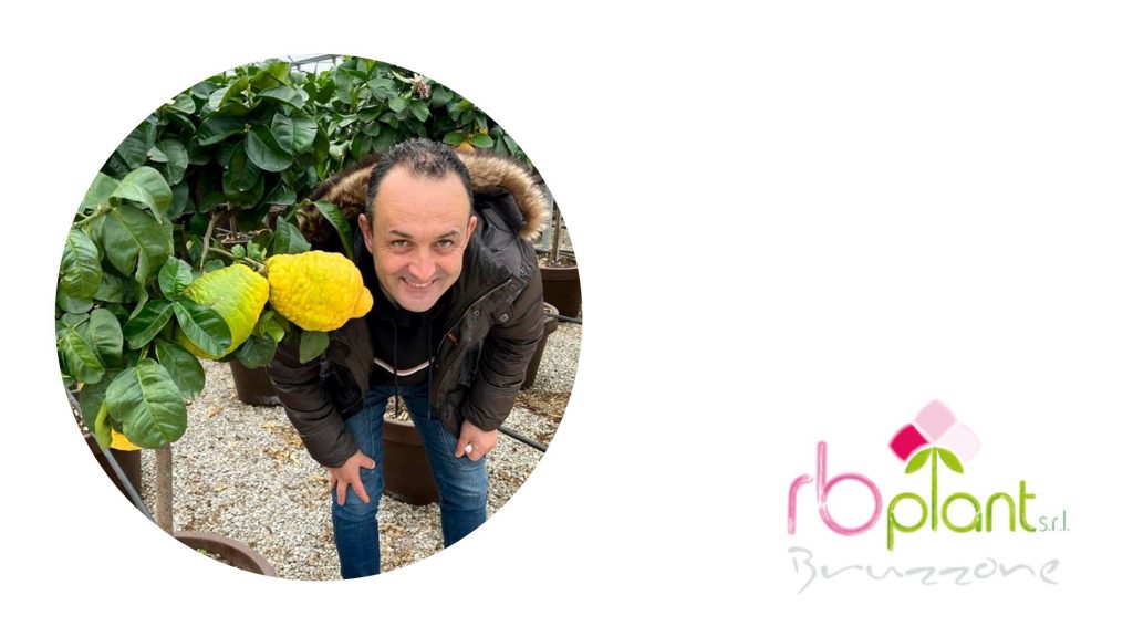 Agrumi di Sicilia RB Plant Albenga
