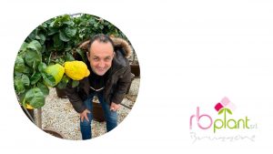 Agrumi di Sicilia RB Plant Albenga