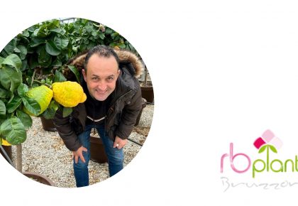 Agrumi di Sicilia RB Plant Albenga