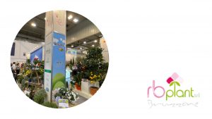 RB Plant Albenga fiori, piante, erbe aromatiche a IPM Essen