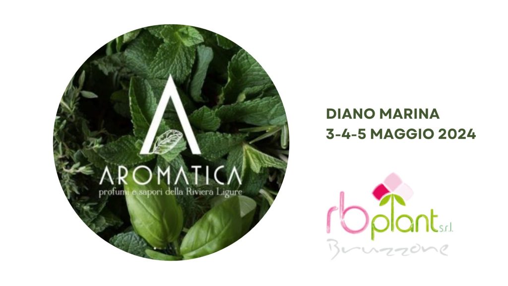 RB Plant di Albenga ad Aromatica Diano Marina 2024