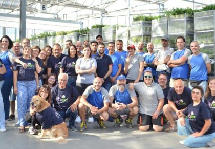 RB Plant produzione e vendita fiori, piante ed erbe aromatiche ad Albenga