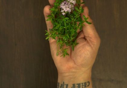 santoreggia in cucina