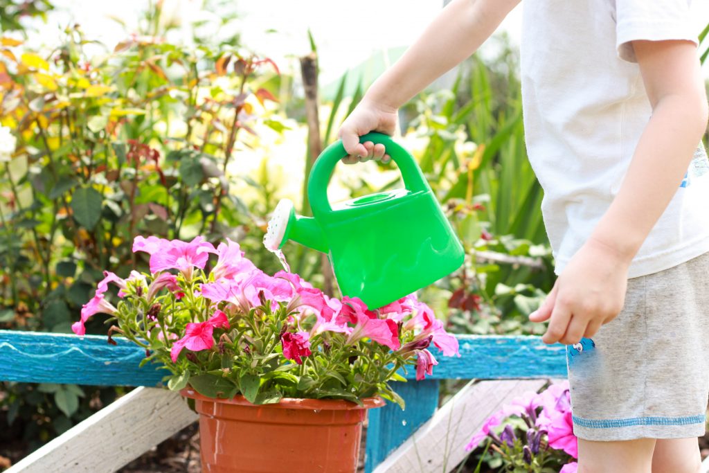 little boy watering plants