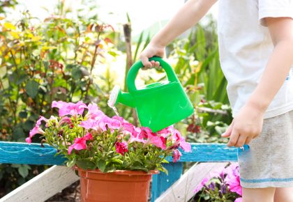 little boy watering plants