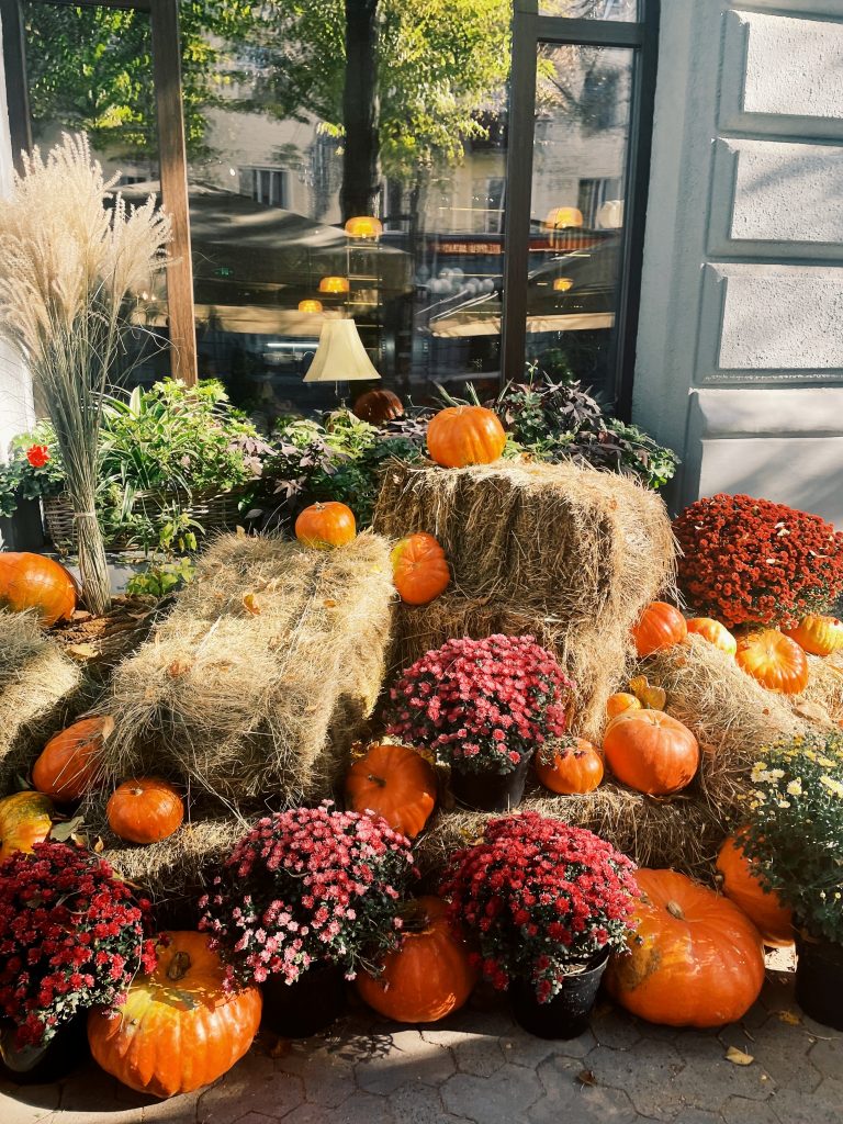 CRISANTEMI DECORAZIONI